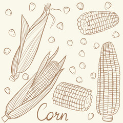 seamless pattern of corn