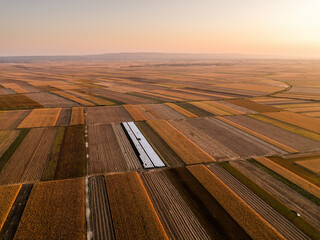 Golden hour over vast agricultural fields, showcasing the beauty of rural farmland
