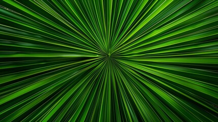 Abstract green lines radiating from center with a dynamic speed effect