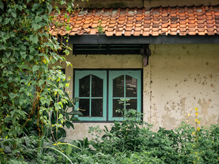 Fototapeta na wymiar shabby windows on an old abandoned building, wild grass surrounding them