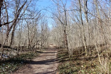 The empty hiking trail in the woods on a sunny day.