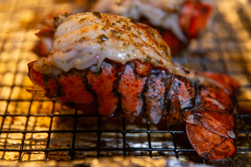 Broiled lobster tail