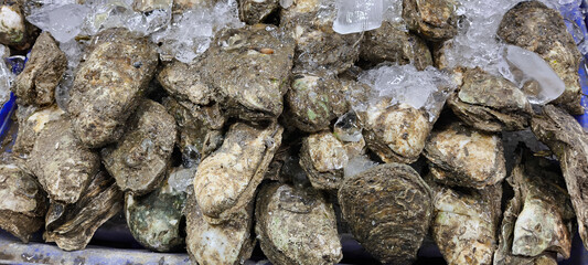 Fresh oysters are a food believed to nourish the body.