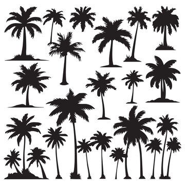 Vector palm tree silhouette clip art sets 1