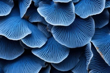 Fotobehang Detailed Blue mushroom closeup background. Water glow. Generate Ai © juliars