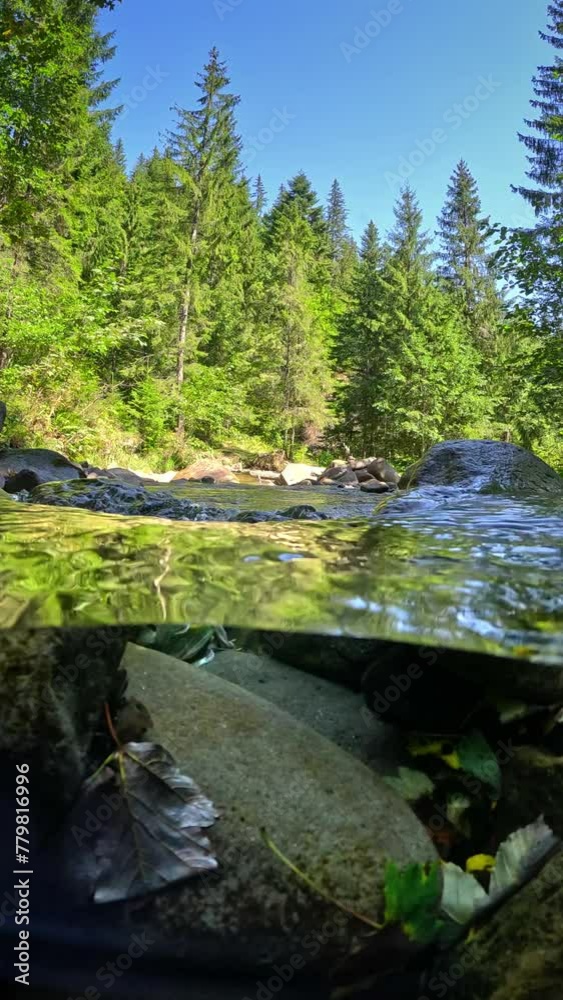 Poster small river in the mountains with clear water. half underwater shot with dome. fast water stream in 