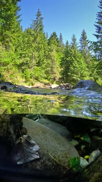 Small river in the mountains with clear water. Half underwater shot with dome. Fast water stream in the forest. Vertical slow motion shot