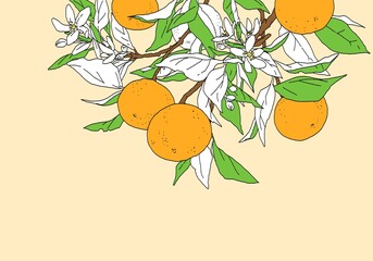 枝付きオレンジのシンプルなカラーのデザイン