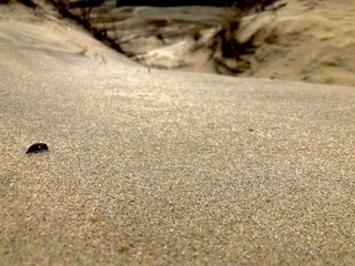 sand