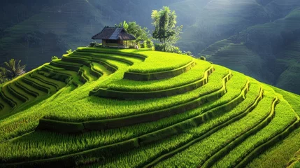 Schilderijen op glas terraced rice fields in a village.AI generated image © Daisha
