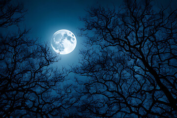 Full Moon Through Bare Tree Branches