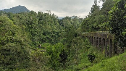 Plunyon Bridge which is over the Kalikuning river with beautiful and amazing views is located on...