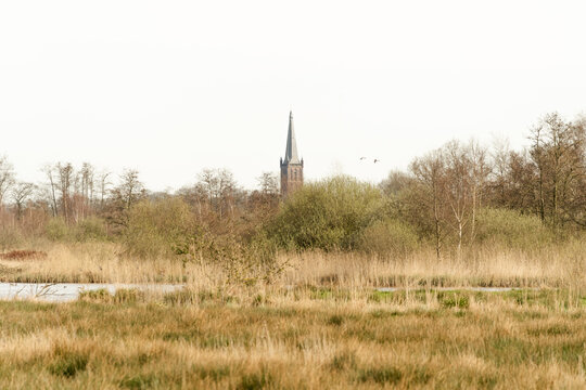 Steenwijk 2