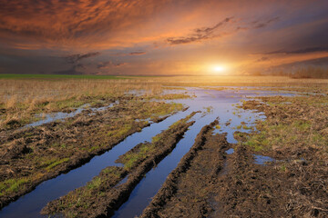 puddle on dirt road in steppe against sunset sky - 779830357