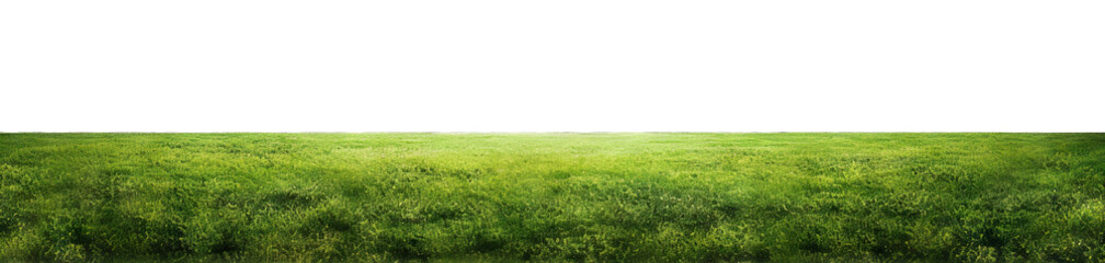 Obraz premium Green grass field, cut out