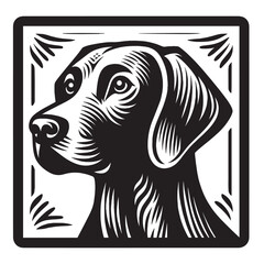 Weimaraner, Weimaraner Vorstehhund, Weim, Grey Ghost. Square emblem. Beautiful engraving monochrome vector illustration. Icon, logo, isolated object