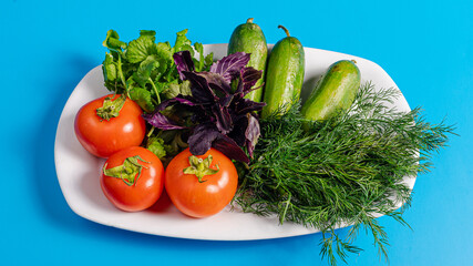 Fresh vegetables on plate isolated on blue. Cucumbers, tomatoes, dill, basil, coriander