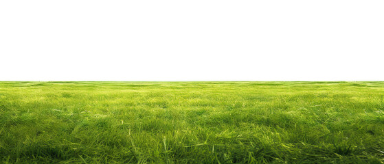 Green grass field, cut out