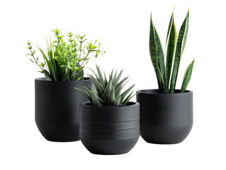 HD Plastic Plant Pots
