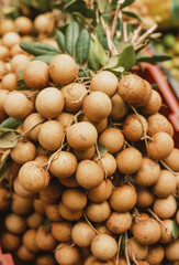 a lot of dragon eye fruit