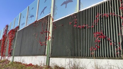 Fence with screen to reduce road noise