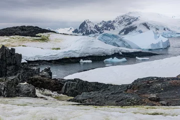  Antarctic © J. J. Sesé