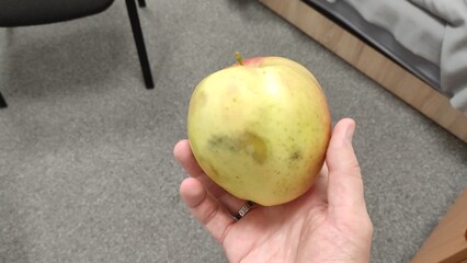 Big green apple in hand