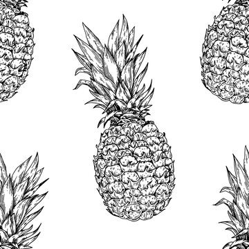 Pineapple seamless pattern engraving PNG
