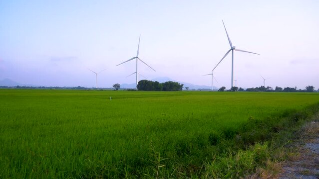 view of turbine green energy electricity, windmill for electric power production, Wind turbines generating electricity on rice field at Phan Rang, Ninh Thuan province, Vietnam