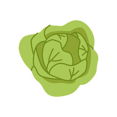 Cabbage with Green Leaves. Fresh and Healthy Food. Vegetarian Nutrition. Flat Cartoon Illustration.