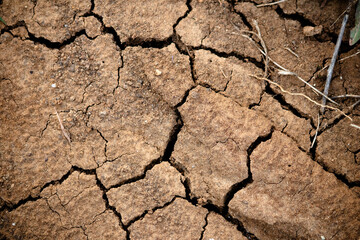 Dried and cracked soil. Climate crisis, drought idea concept. Global warming and climate change. Without rain, desertification. Rebirth idea without water wallpaper. 