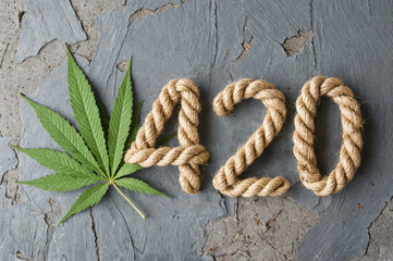 Number 420 made from hemp rope leaf grey background concept for april cannabis celebration - obrazy, fototapety, plakaty