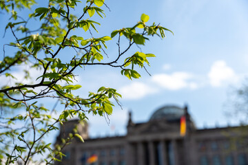 Green leaves of a bush against the background of a blurred Reichstag. Green leaves against the background of the city.