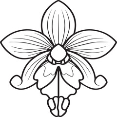 Orchid flower coloring pages. Orchid flower outline vector for coloring book