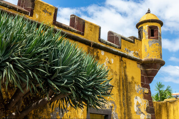 Sao Tiago fort, colorful yellow fortress in Funchal, Madeira island Portugal - 779860529
