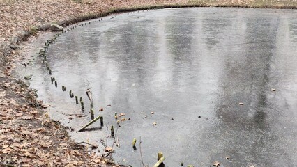 Frozen pond in the city park. Bialystok, Poland