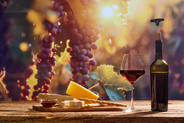 Captivating image capturing essence of winemaking, with wine bottle and glass of red wine, cheese set on backdrop of scenic grape trees. Concept of winemaking, organic beverage, nature, traditions - Powered by Adobe
