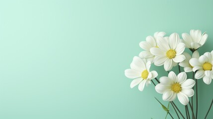 Minimal bouquet, pastel green backdrop, clean aesthetic, soft focus