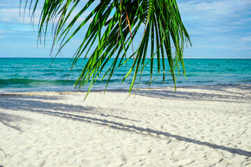 Beach in Sihanoukville. Palm trees and blue sea