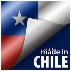 Made in Chile graphic and label.