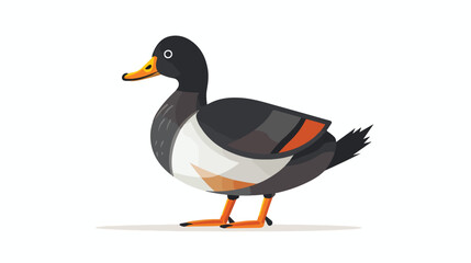 Duck flat vector isolated on white background