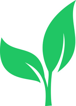 Green leaves icon as environmental preservation symbol