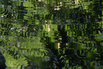 Reflection of green trees on the surface of water in the Creek