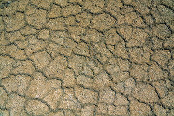 Pedology. Polygonal structure. Dried-up lake basin (dry lakebed) - alkali flat. Semi-desert salt-marsh, aeolian deposition by multi-faceted soil cracks