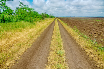 A field earth-road runs along a sown field and a forest strip (shelter belt, wind-snow break). Spring