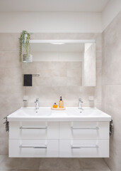 Interior of a modern bathroom. Front view of the sinks with a mirror and liquid soaps in front. - 779878907