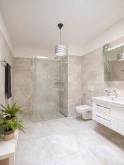 Interior of a modern bathroom. You can see the shower, toilet and washbasin. It is big with lots of space, two beautiful plants on the side.