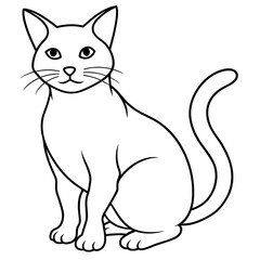   cat vector illustration with line art.
