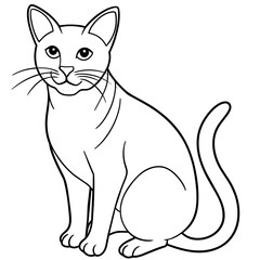   cat vector illustration with line art.
