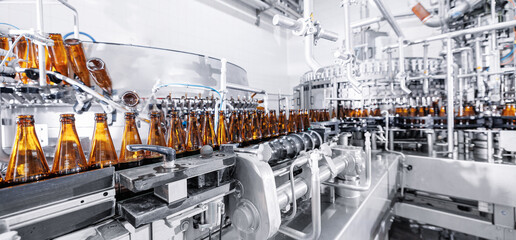 Process pasteurization Brown glasses bottles with beer, moving on conveyor. Concept production line...